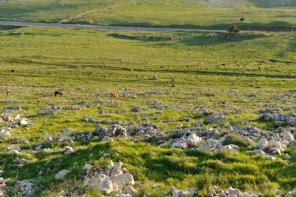 קאמי מלון בוטיק Safed Kültér fotó